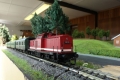 t_t-dsc03470-ok_dxo